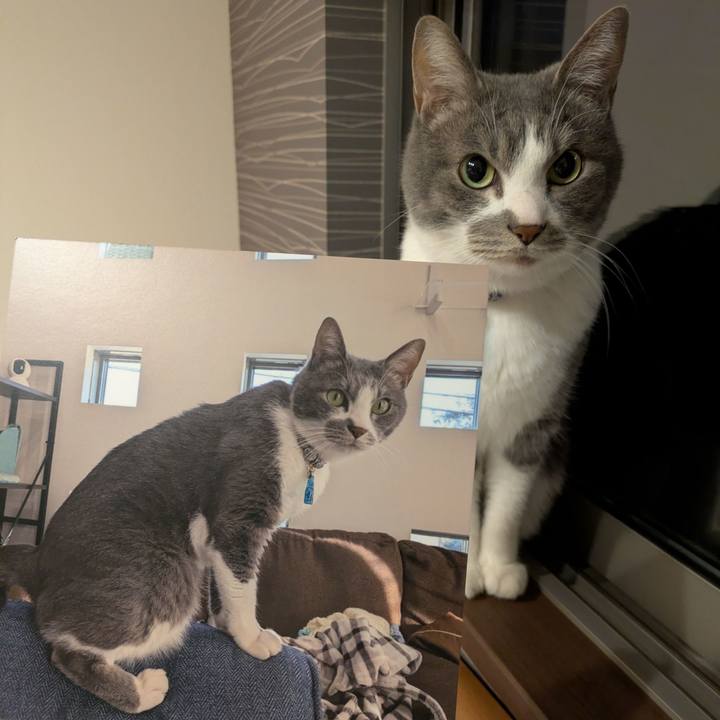 0bbe1d5a 850d 42cb bfcd 6c1ab929011a 1768212152178