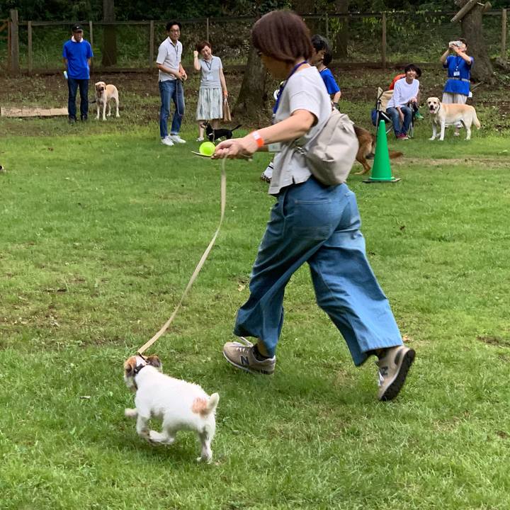 0bbe5e69 94c9 4398 abdc e928dda15768 1566646349660