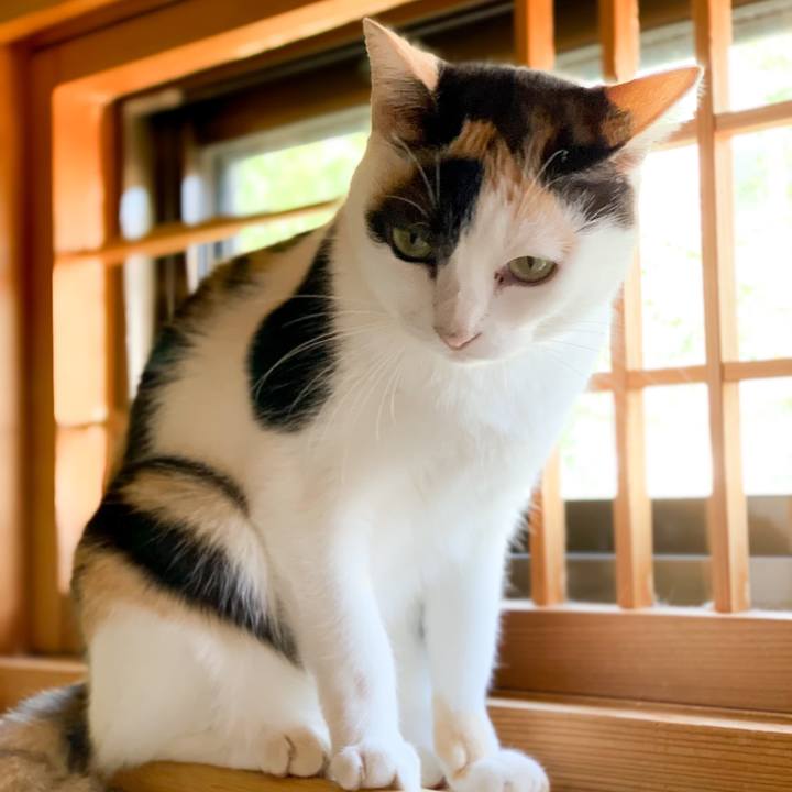 0bbe654a f036 43fe 8f31 a1a258fc50e1 1539313678495