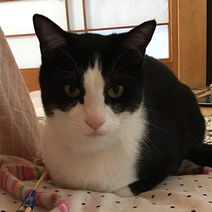 0bbe8d47 f248 4c59 a6be 4bc6712c55e1 1683008921808