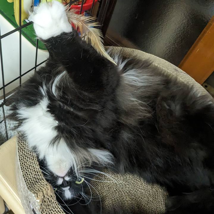 0bbe981a af1c 4ede b14b 4a020312ee3a 1710671719830