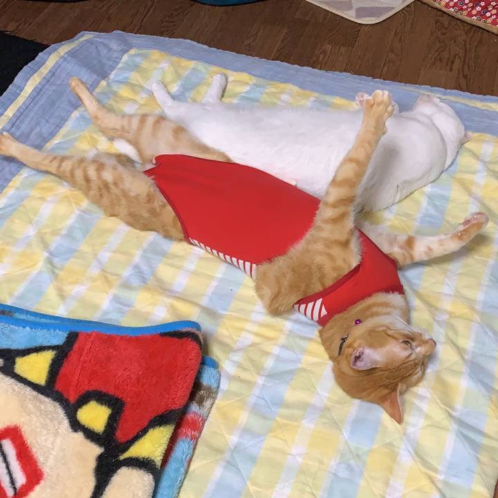 0bbe99ac 539e 4b22 ab38 8c17f7e0133c 1593260068096