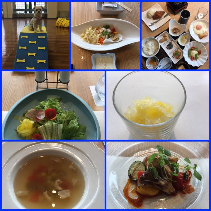 0bbeb99b a53a 4b6b 85fd 447498e2747a 1561618764377