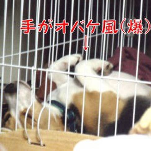 0bbf4070 74c6 4888 8dec f54b05410287 1686701358127