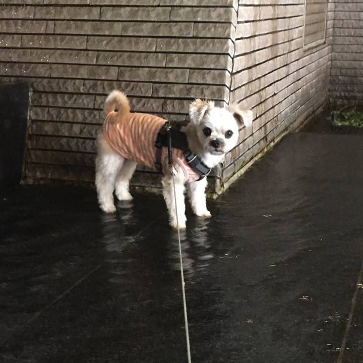 0bbf50aa 9340 4374 9396 460a0562ae70 1568891262840