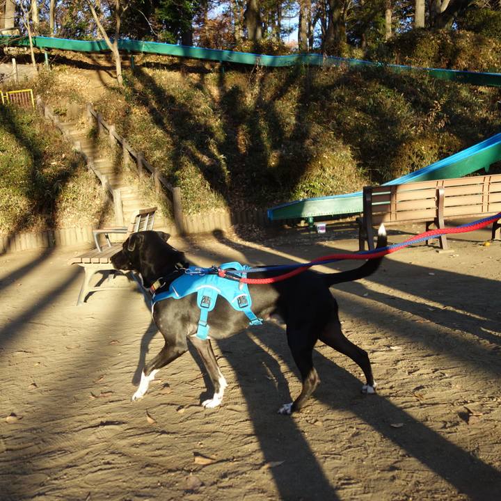 0bbf51ac 7b11 4125 b59a f6136c9c886d 1608249168964