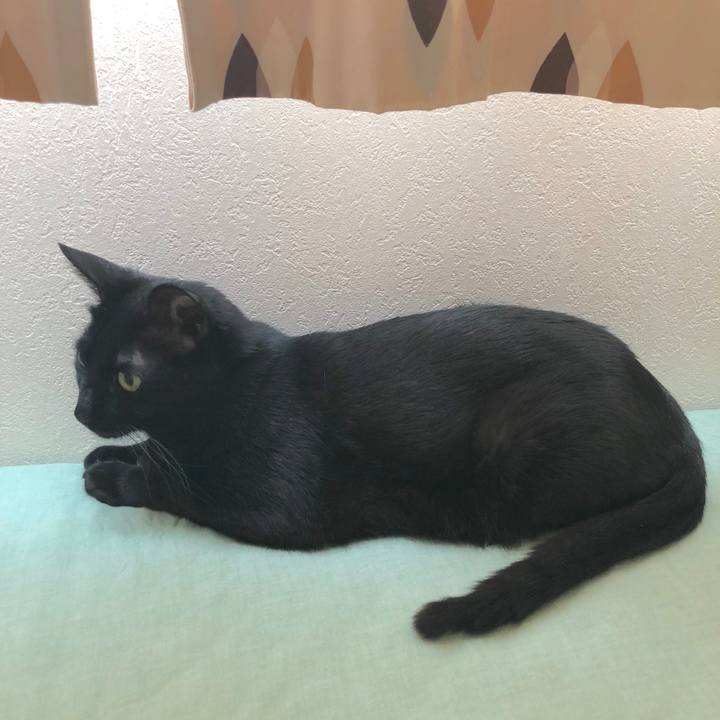 0bbf6074 68f9 477c a7b8 58be0b79f413 1526630722545