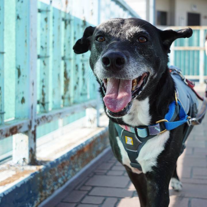 0bbfa451 e0ee 4449 96f1 2a726595ec17 1758847180876