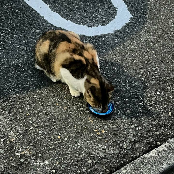 0bbfbb83 297e 4672 b7e3 aa41318ddf4d 1699265232958