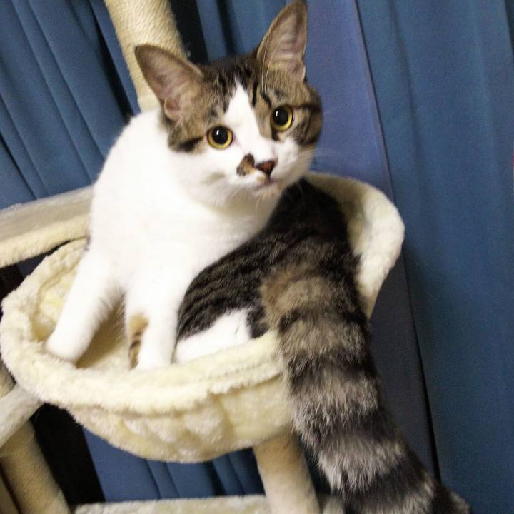 0bbfe323 5762 43d4 8176 dcee762d6be0 1634467702255