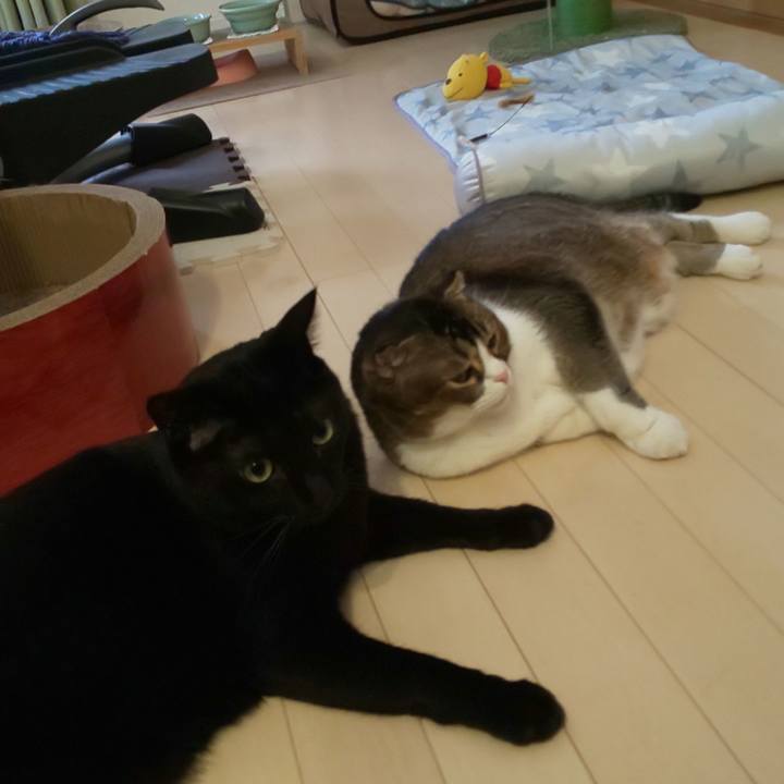 0bbfe97e 5e34 4ead 8e4b 629c59035be0 1693114759740