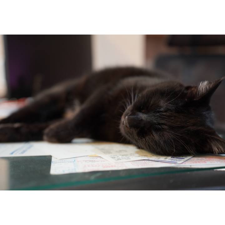 0bbfeccb 638d 4763 a436 6009630d9334 1659276651810