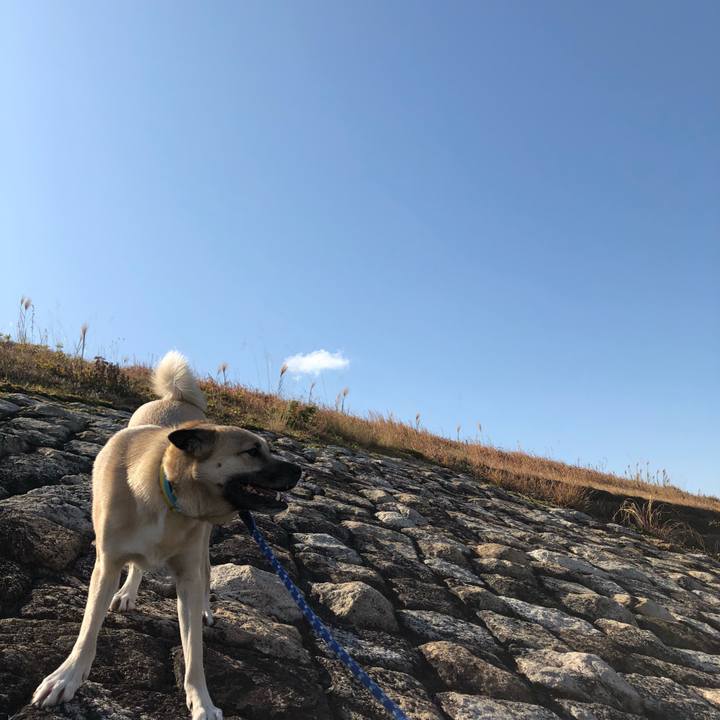 0bc01038 23f5 44c4 951c 8fb132fc4d39 1549765989833