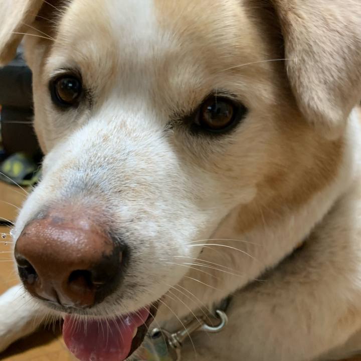 0bc0147b 344b 4f50 8a32 db992eaf1c7c 1620554135039