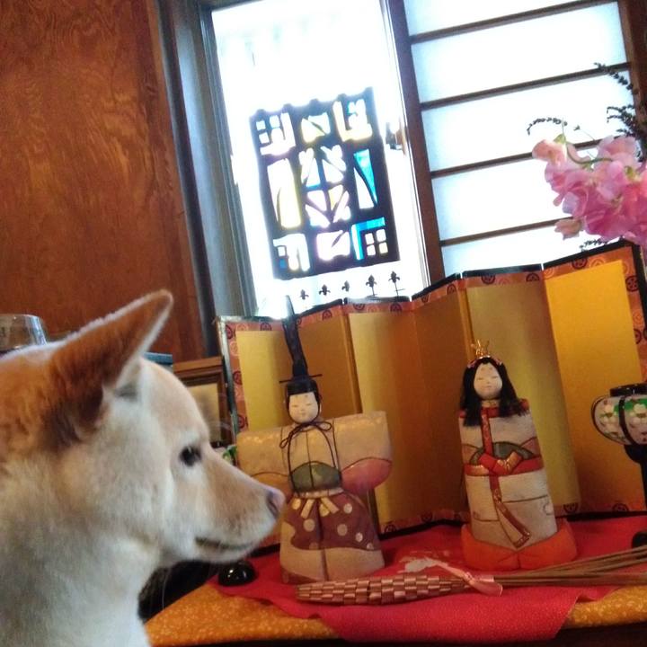 0bc05441 2048 45f0 86bd 13ad9443508a 1520150883581