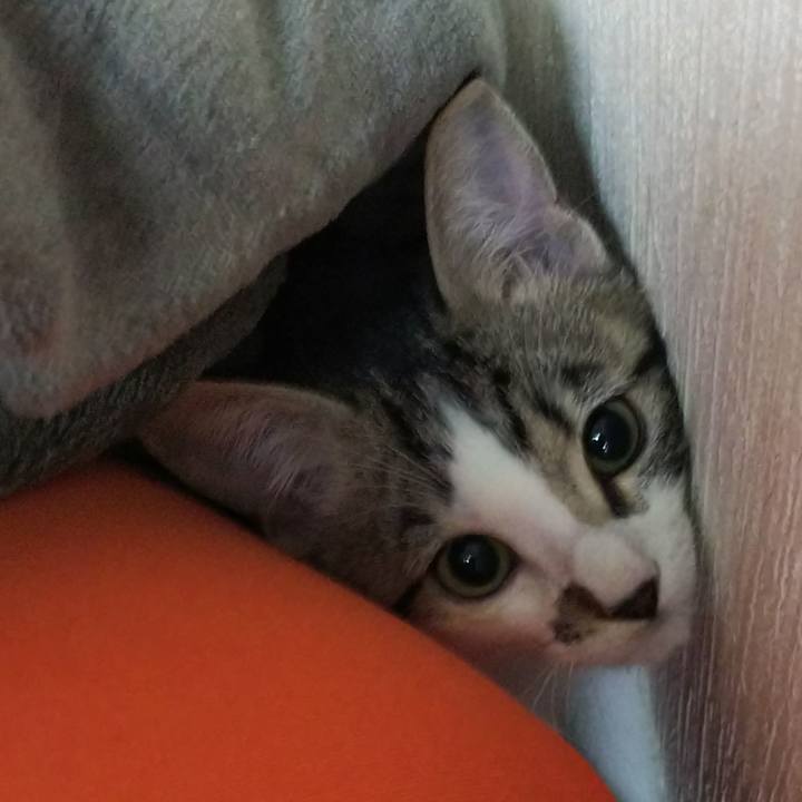 0bc091dd 2ef5 4484 bec9 a0bff00c4c9e 1610200529262