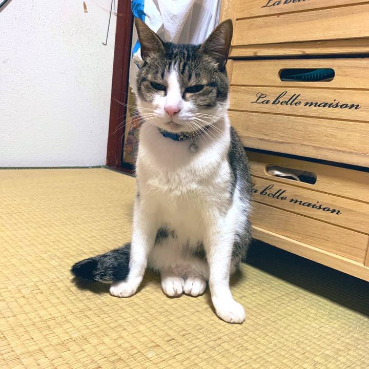 0bc094b8 558c 41d2 8740 048041357aa6 1579089692528