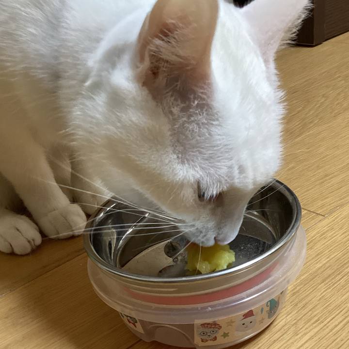 0bc0c720 6474 4ff3 aa0e 0e8fd43583d5 1673142520186