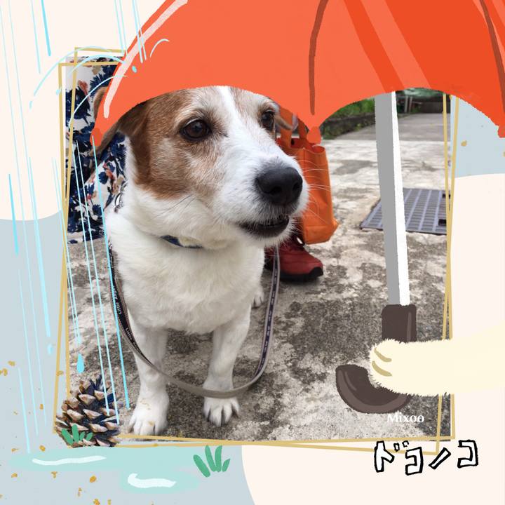 0bc0c882 7b63 4829 b79e 6974e89890d5 1749532446526