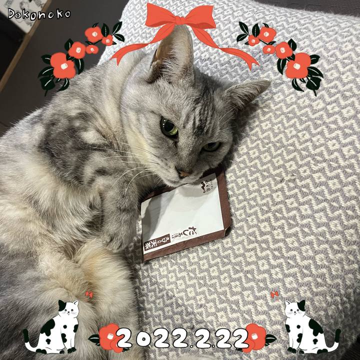 0bc0dcfd 389a 4a03 8cb6 7b4afaa1c921 1645506777497