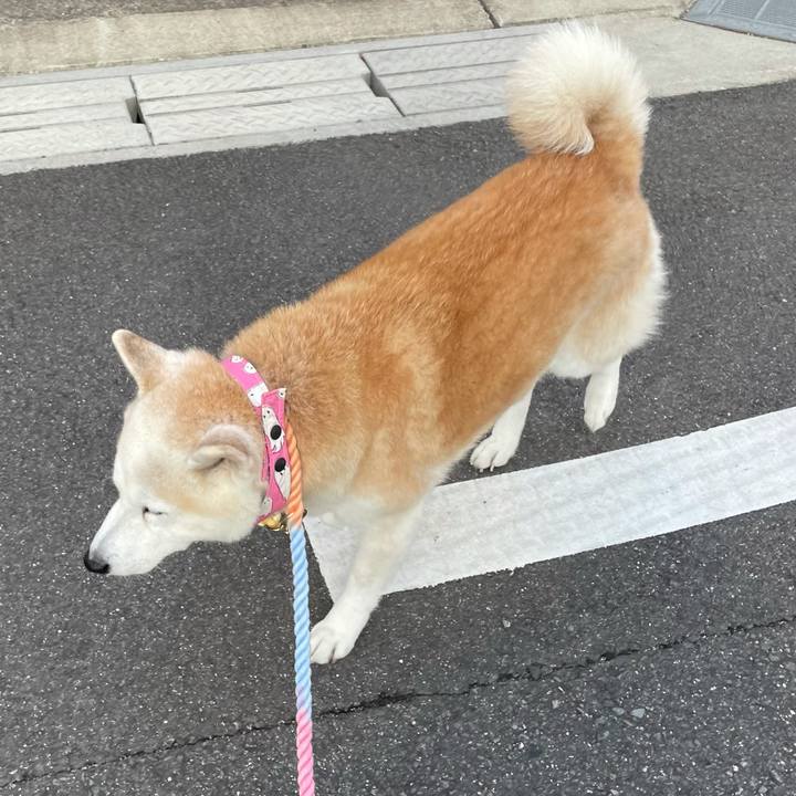 0bc0efe2 b769 4f52 8fa4 20f5c23e5275 1639184756185