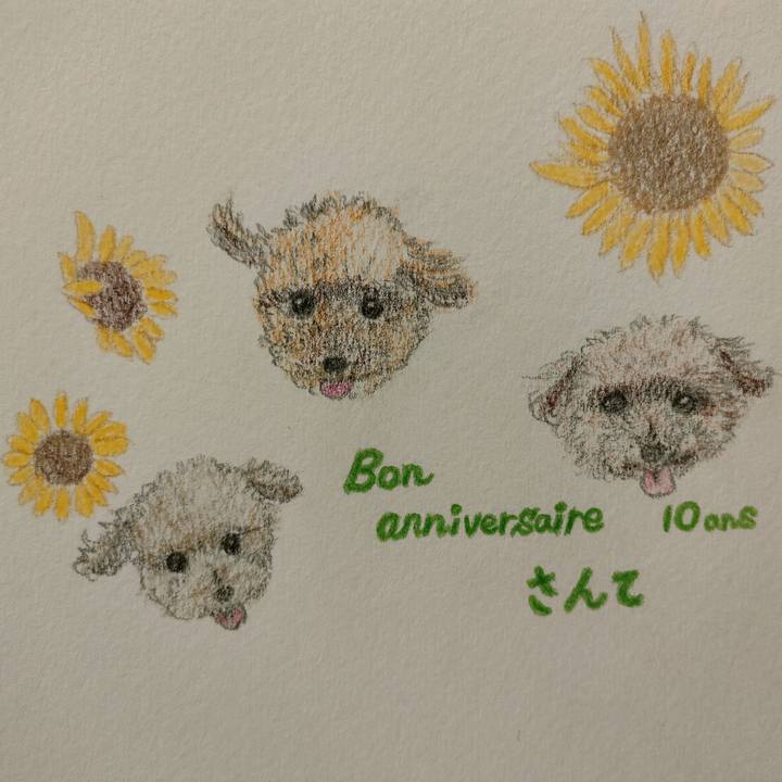 0bc12122 cc9c 46e9 b3c1 3fe6842895f2 1628919810414