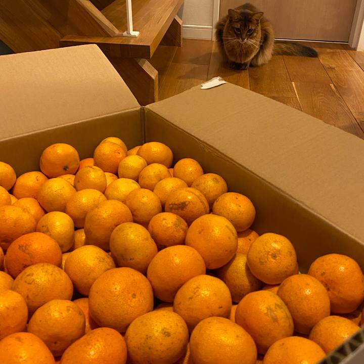 0bc124b0 c254 49da 8f22 35678c2bbadb 1636019877290