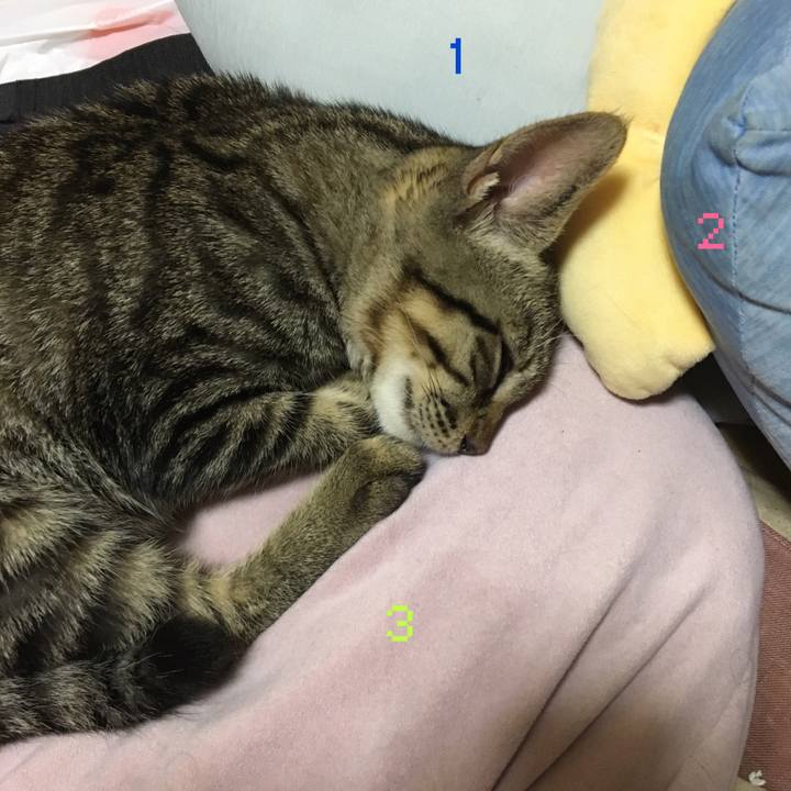 0bc1380b 3949 4368 8c29 8ebf96a9f4db 1537476054887