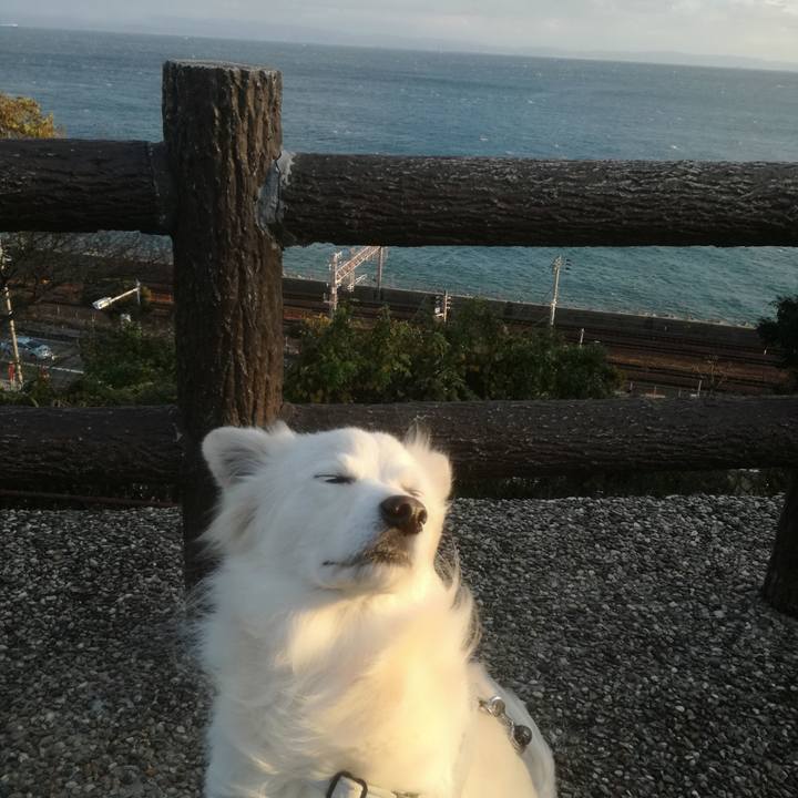 0bc13e69 ef84 4d22 bc47 f4faf907769e 1513129203723