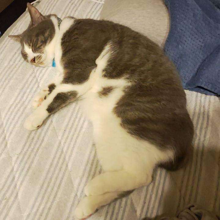 0bc16eba fb8e 4508 b8c9 c9eec154854d 1714428831457