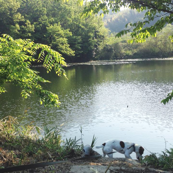 0bc181ba b91e 44d9 b6b1 d2b98212f81f 1524997748612