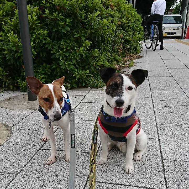 0bc1afca 8ff4 4de7 ac08 32b422039b8c 1527030863722