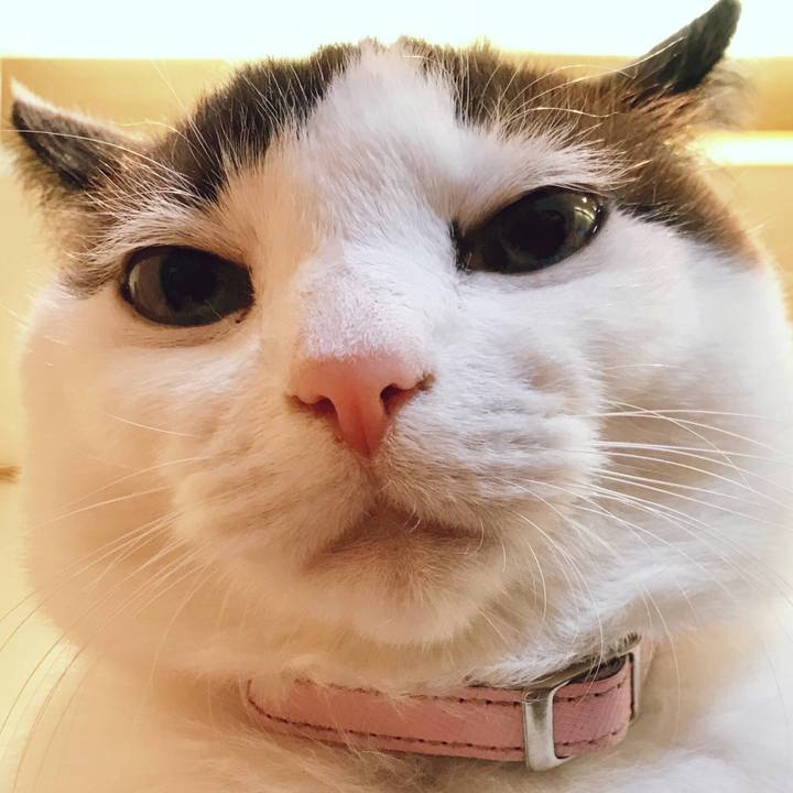 0bc1bd11 5f39 4d76 8d50 14485bee757b 1519219451775