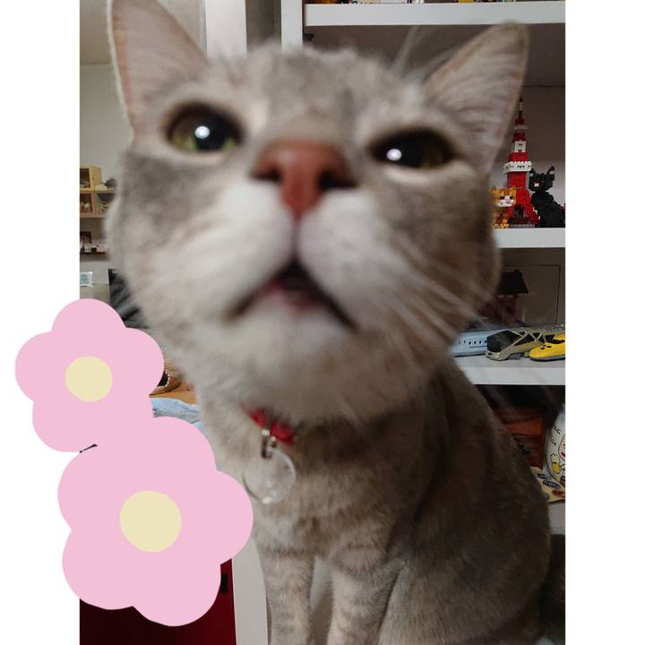 0bc1db1a 47dd 4e15 b23e bb2e215d52ca 1551150936179