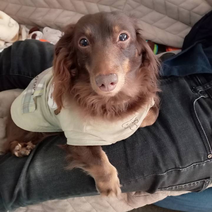 0bc2235d 3d24 41a0 a0f5 cd6b8a01dc4f 1764623866630