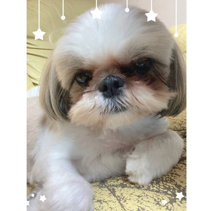 0bc2294d c3c1 4c15 b28f e50576cd636a 1626879776302