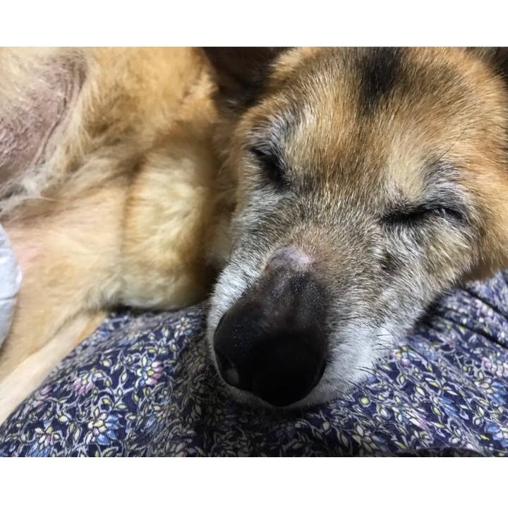 0bc230ee 7c9e 4ba5 8bdd cbe94f5fa2a3 1568939545281