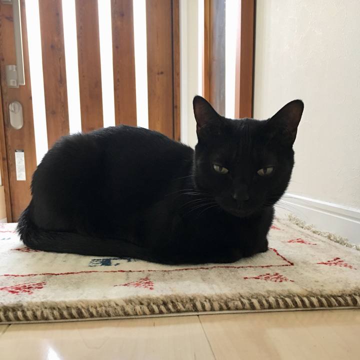 0bc2bb25 50e4 4030 9e65 974e589080ce 1569450680525