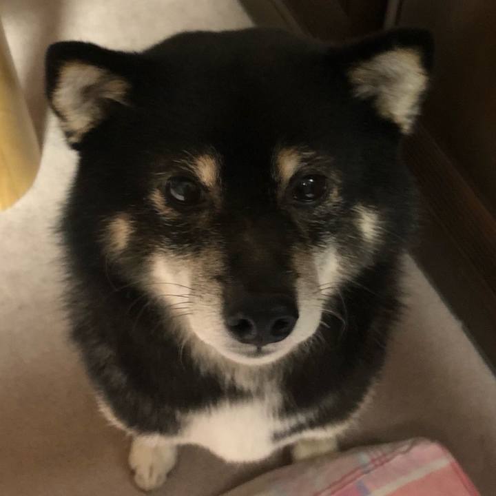 0bc2ecca b12f 4cd5 9346 eeb1e075d22b 1606210348130