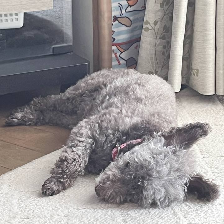 0bc3476c 9b6f 4502 9b19 34564887e38e 1726293153382