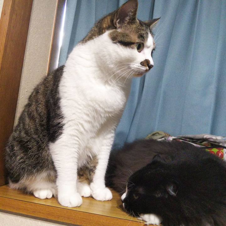 0bc34c44 2174 4484 a6fb 394454cda502 1661676070411