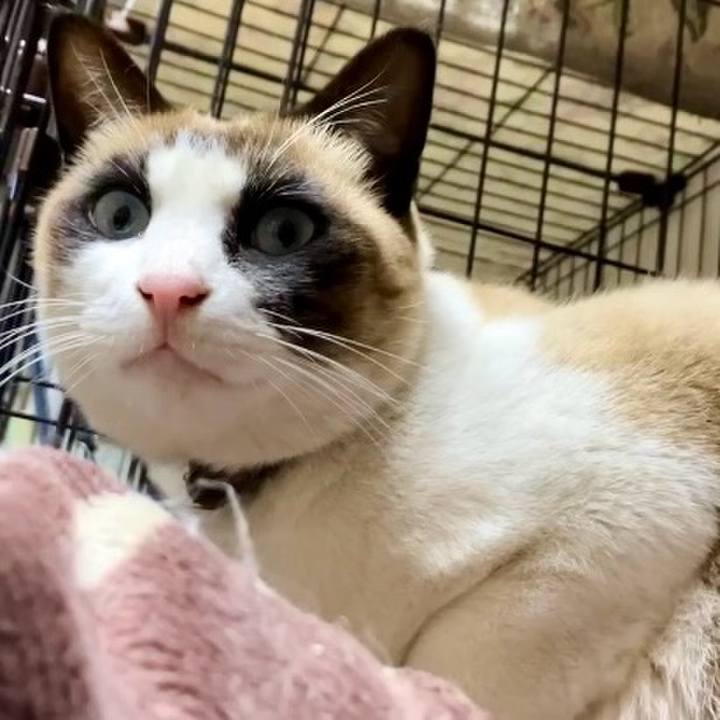 0bc34fb0 5029 42bb 8ba6 fafeaaf19897 1739706505363