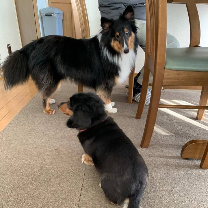 0bc39074 25b1 4fcf 8f4e 4920993d34c0 1587505775667