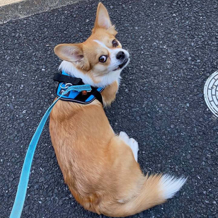 0bc3a73b 2d41 42ab ba5f 11b8c46e3f34 1618884076206