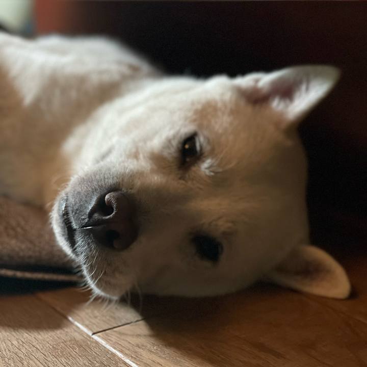 0bc3e2f9 a247 449b 9d97 27fd1747ddea 1682939281952