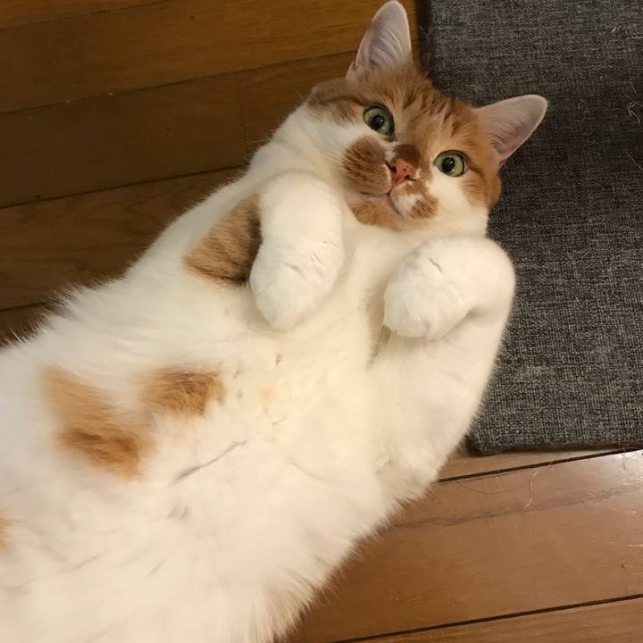 0bc3f9a8 f7b1 4e6f 8db9 00be6d83bdfb 1555583824249