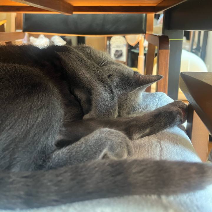 0bc455fe 0003 4a55 bc48 f59743f0bca4 1728610022788