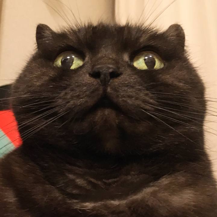 0bc47da3 67a9 4a8a 90af e8f5de87937e 1584633024185