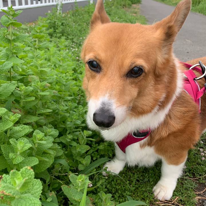 0bc4927a 036d 4931 babf 2360c201c891 1721860332860