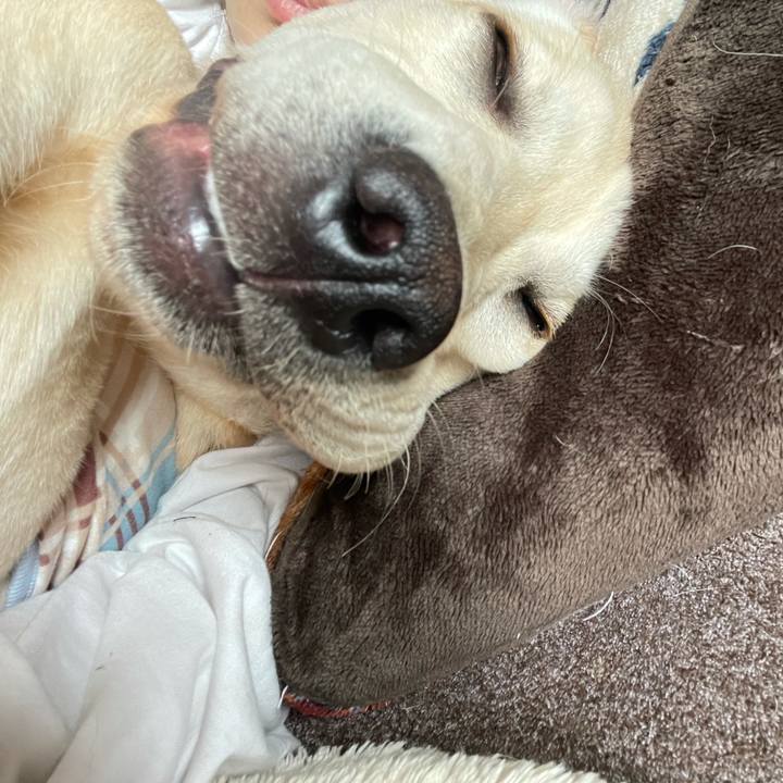 0bc49870 fc39 4ae1 9889 b8708b771ce4 1620981973461